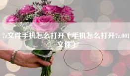 7z文件手机怎么打开（手机怎么打开7z.001文件）