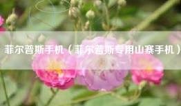 菲尔普斯手机（菲尔普斯专用山寨手机）