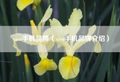 vivo手机品牌（vivo手机品牌介绍）