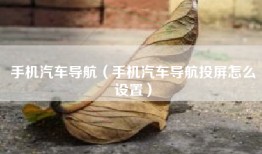 手机汽车导航（手机汽车导航投屏怎么设置）