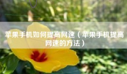 苹果手机如何提高网速（苹果手机提高网速的方法）