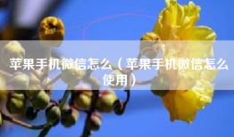 苹果手机微信怎么（苹果手机微信怎么使用）