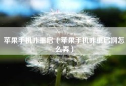 苹果手机咋重启（苹果手机咋重启啊怎么弄）