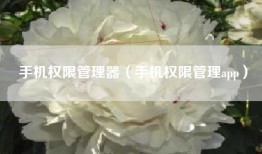 手机权限管理器（手机权限管理app）