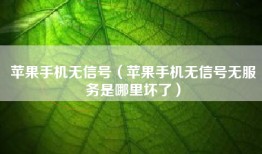 苹果手机无信号（苹果手机无信号无服务是哪里坏了）