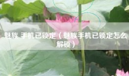 魅族 手机已锁定（魅族手机已锁定怎么解锁）