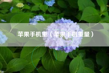 苹果手机重（苹果手机重量）