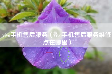 vivo手机售后服务（vivo手机售后服务维修点在哪里）