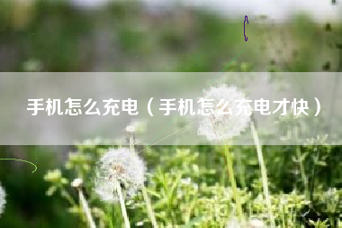 手机怎么充电（手机怎么充电才快）