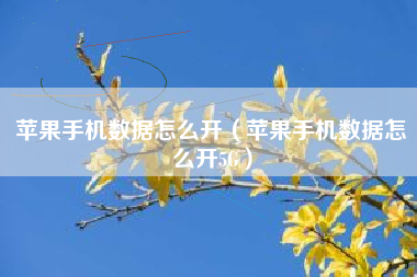 苹果手机数据怎么开（苹果手机数据怎么开5G）