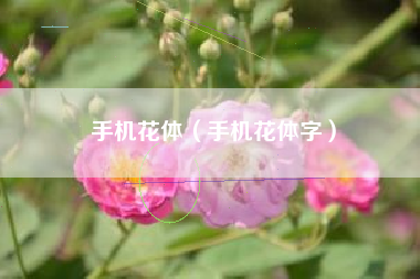 手机花体（手机花体字）