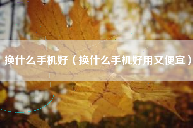 换什么手机好（换什么手机好用又便宜）