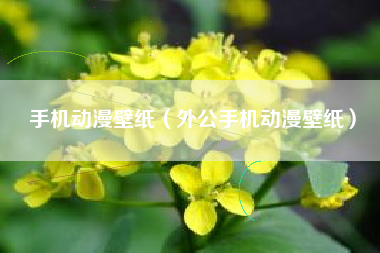 手机动漫壁纸（外公手机动漫壁纸）