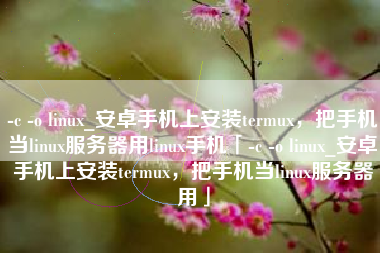 -c -o linux_安卓手机上安装termux，把手机当linux服务器用linux手机「-c -o linux_安卓手机上安装termux，把手机当linux服务器用」